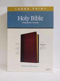 KJV Large Print Thinline Reference Bible Filament Enabled Edition (Leather,Brown/Burgundy)