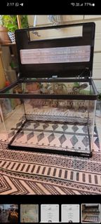 （分類：）位於 。 由 planthunter852 提交（商品編號 1174686539，圖片 1）。簡介： 。