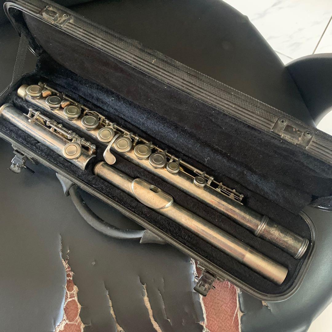 Parrot Flute, Hobbies & Toys, Music & Media, Musical Instruments on ...