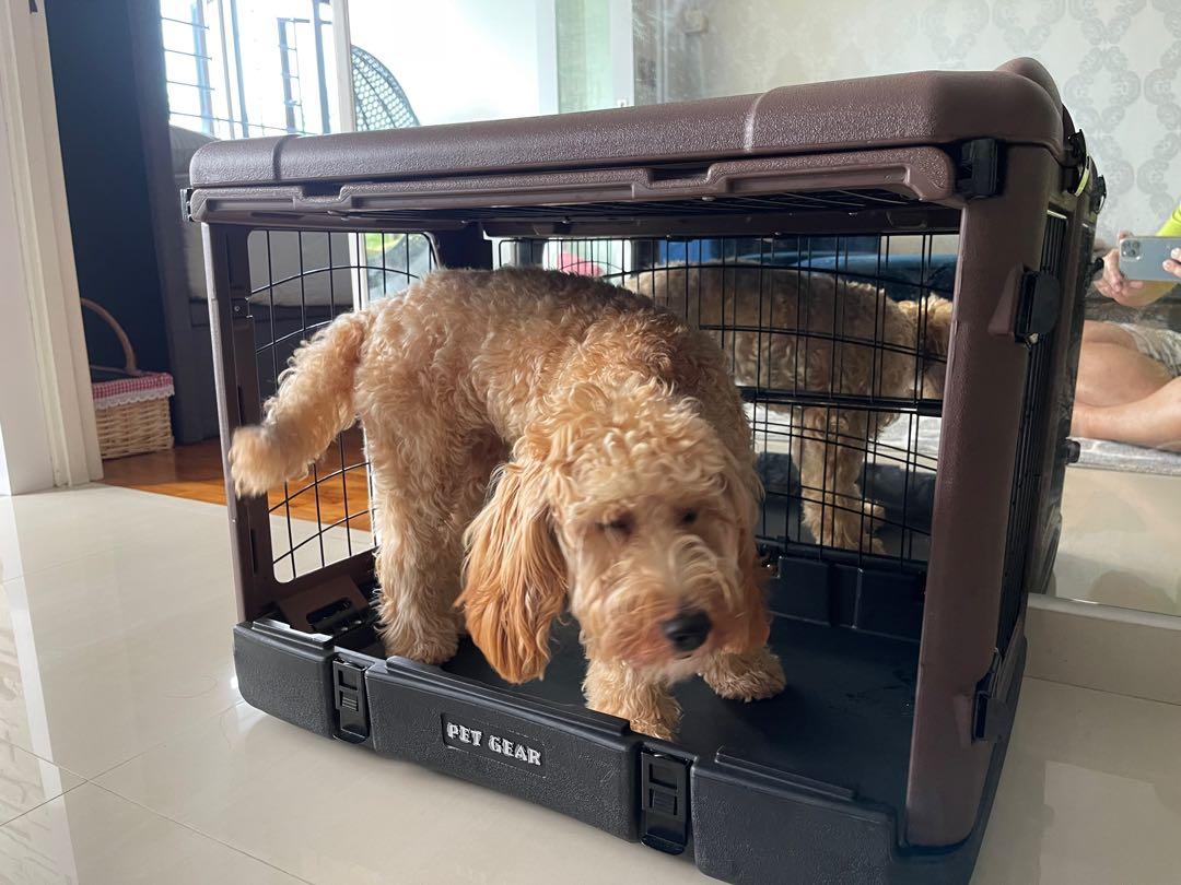 Pet gear the other hot sale door steel crate large