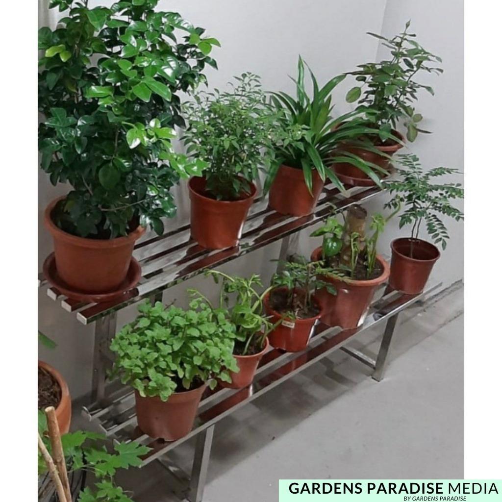 Stainless Steel Code 305 Outdoor Multi Tiers Plant Rack By Gardens ...