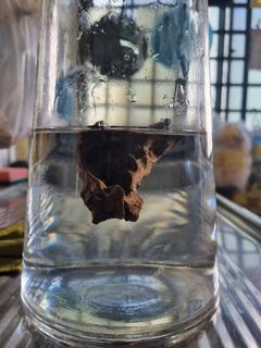(Category: ) located in . Submitted by THEAGARWOOD (Listing ID 1174911154, Image 1). Description: .