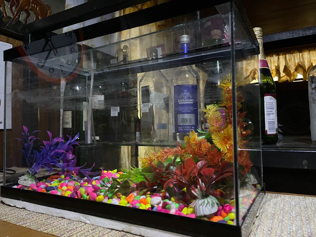 Aquarium Complete set, Pet Supplies, Homes & Other Pet Accessories on Carousell