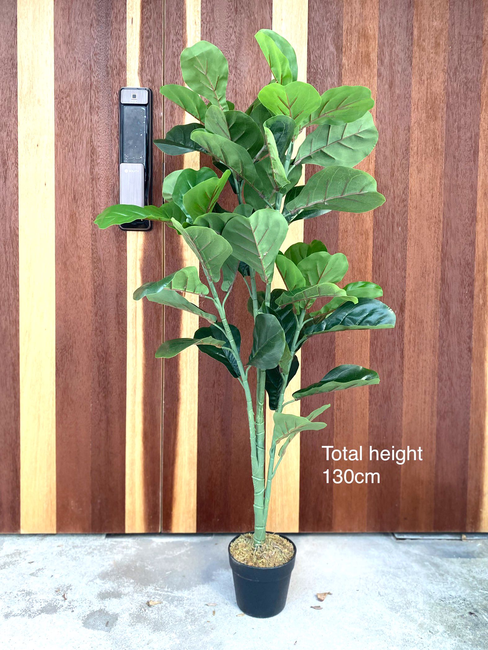 Artificial fig tree plant decor, Furniture & Home Living, Home Decor