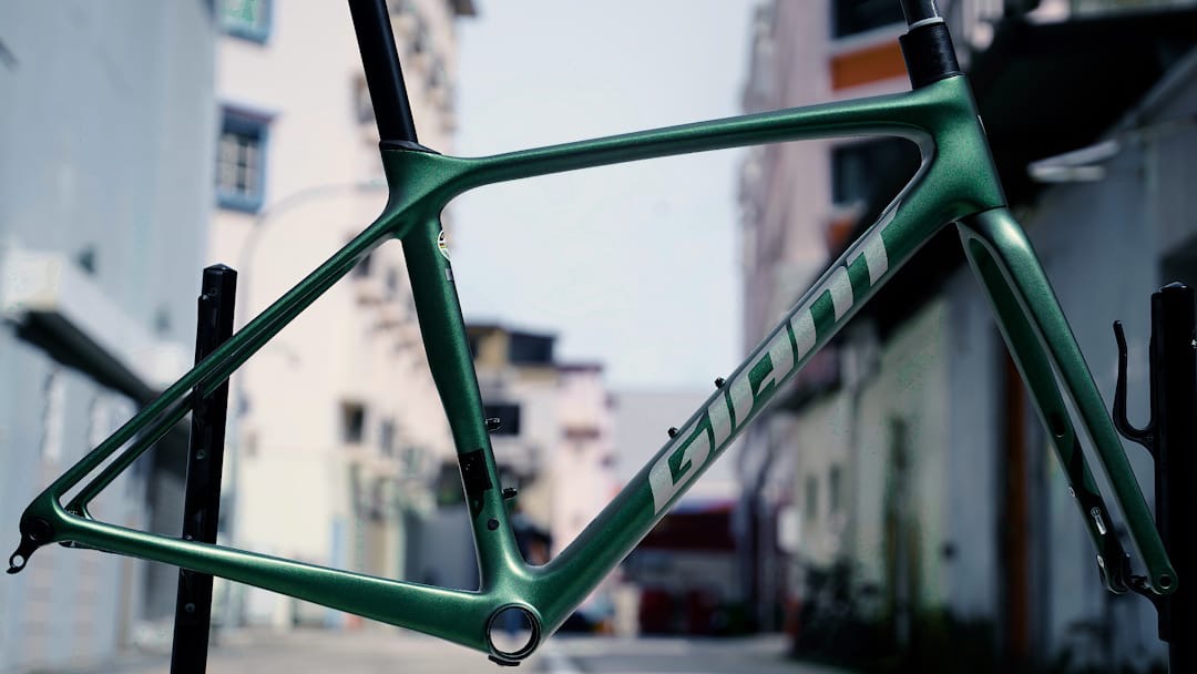Giant tcr advanced pro frame store