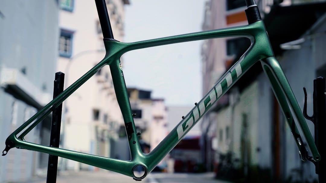 Giant TCR Advance Pro Disc Frameset 2023 Custom Sports