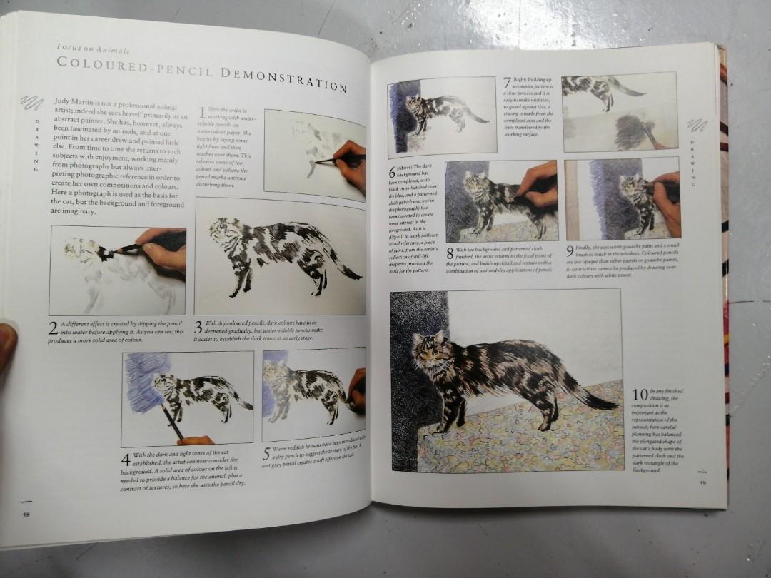 How to Paint and Draw by Hazel Harrison, Hobbies & Toys, Books