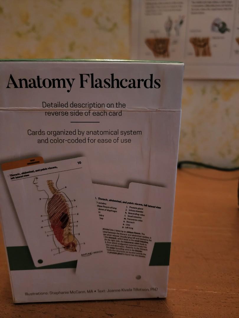 Kaplan Medical Anatomy Flashcards, Hobbies & Toys, Books & Magazines