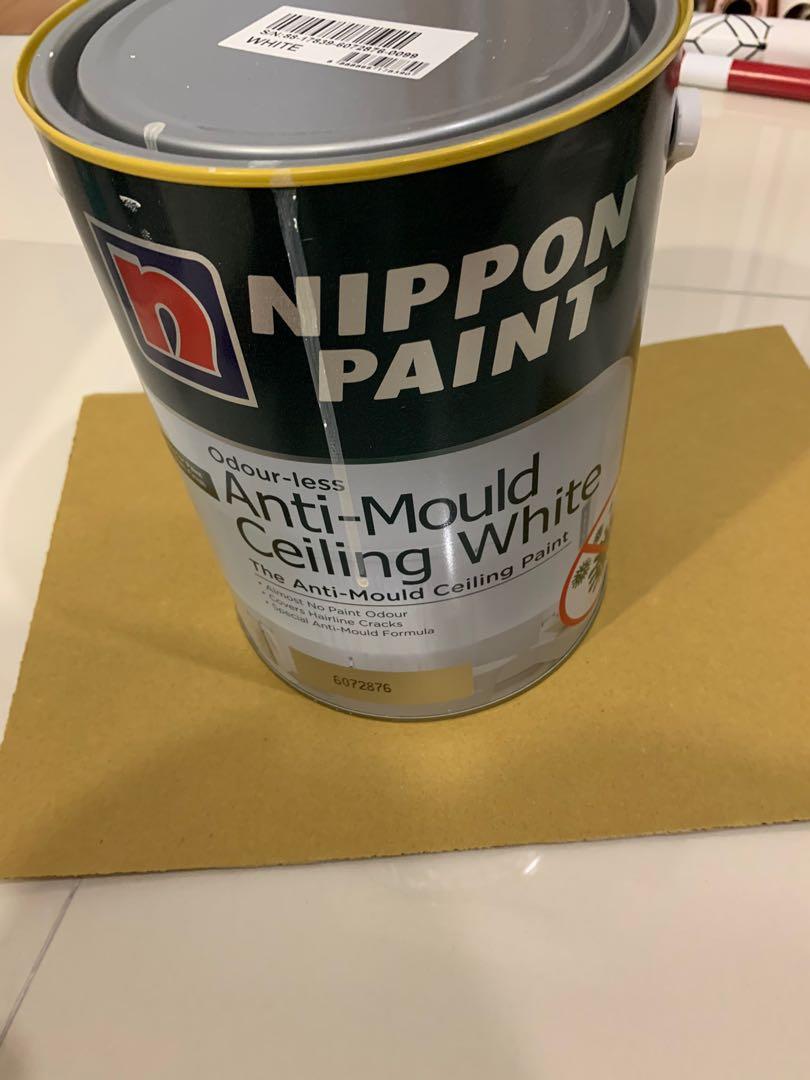 Nippon paint odorless, Furniture & Home Living, Home Decor, Other Home Decor on Carousell