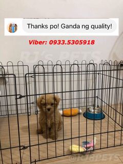 (Category: ) located in . Submitted by rj8pets (Listing ID 1175255645, Image 1). Description: .