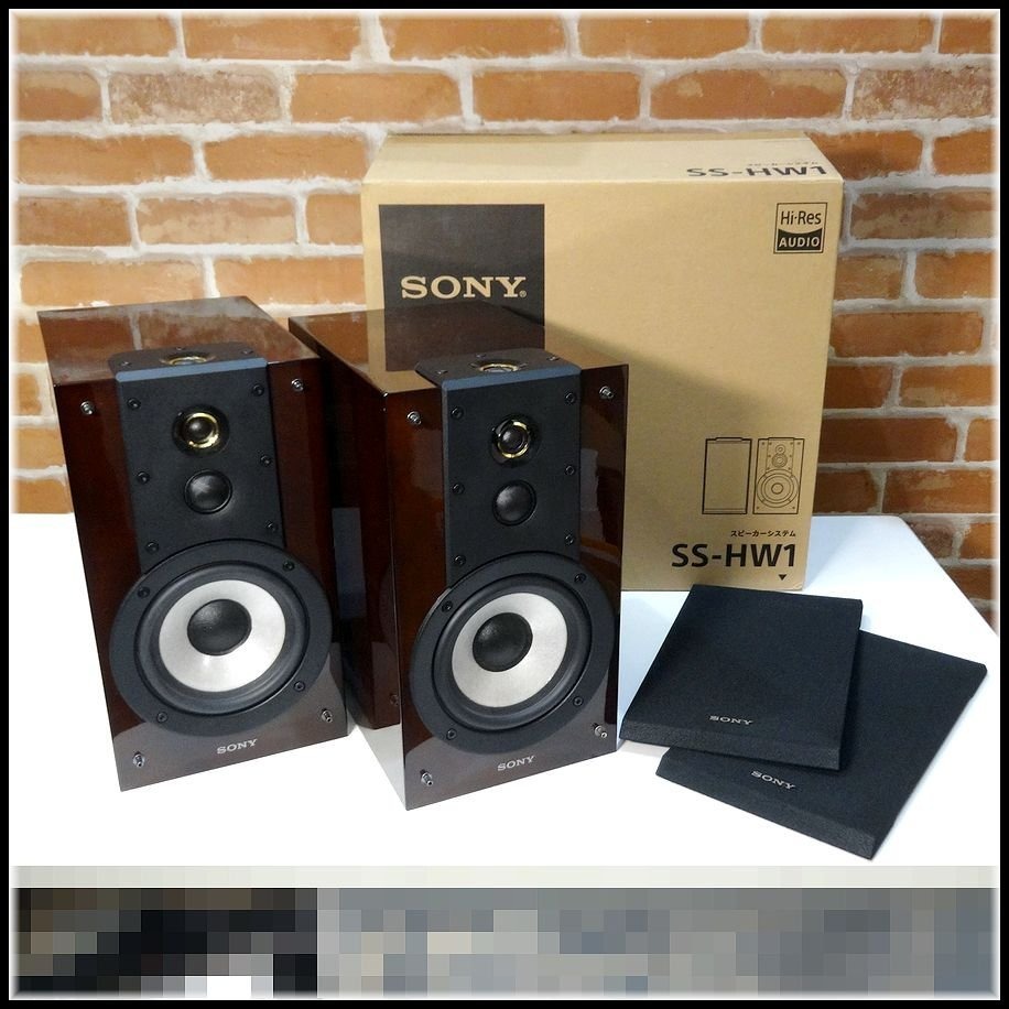 SONY 揚聲器SS-HW1 /83dB 50-50000Hz, 音響器材, Soundbar、揚聲器