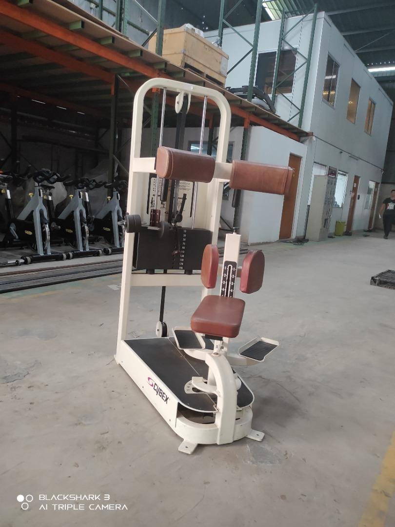 Cybex deals rotary torso