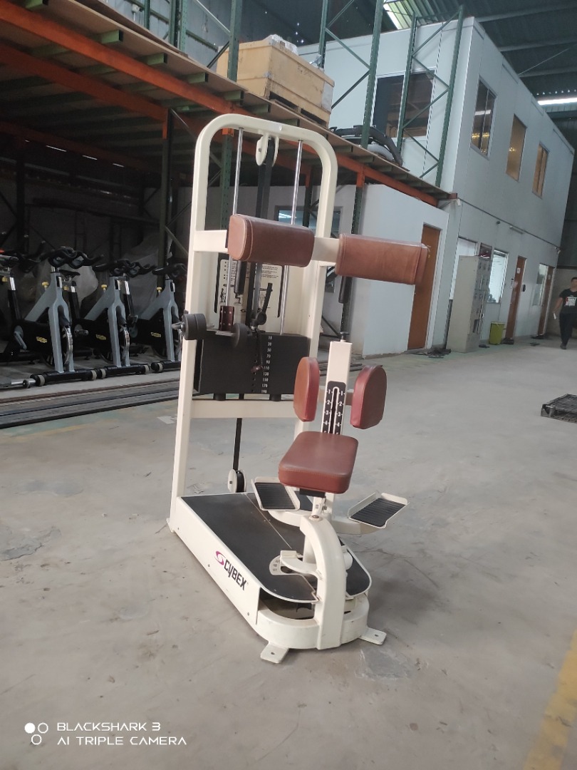 Cybex torso rotation hotsell machine
