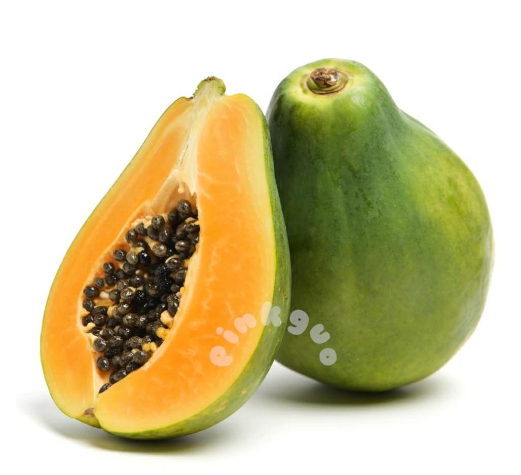 Young Hawaiian Papaya Plant (60 to 70cm tall), Furniture & Home Living