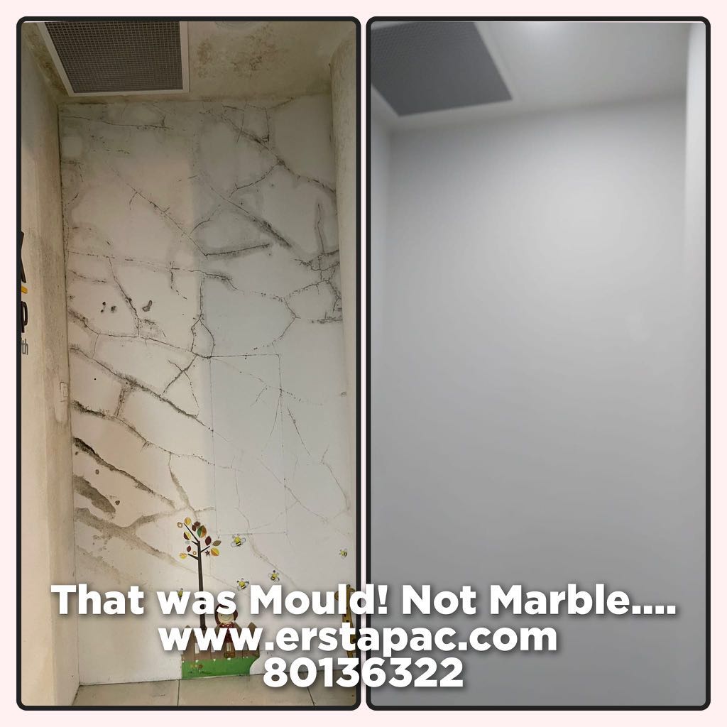 006 MOULD REMOVAL AntiMould/Mold Wall & Ceiling Painting / Coating