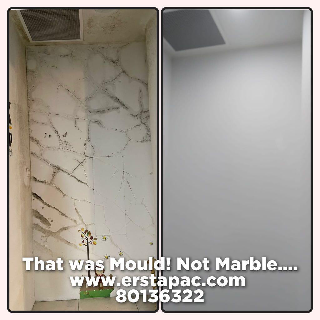 006 MOULD REMOVAL AntiMould/Mold Wall & Ceiling Painting / Coating