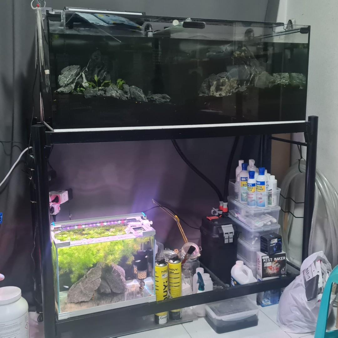 TANK ONLY* 4ft (4x1.5x1.5ft) tank - normal glass, black silicon, side &  center brace, Pet Supplies, Homes & Other Pet Accessories on Carousell