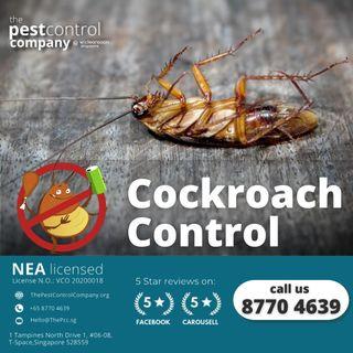 Cockroach Termite Bedbug Rat Ant Mosquito House fly Fruit Flies Bees Hornet Wasp Bagworm Silverfish Rodent Mice Mouse White Ant Insect. CALL US.
