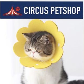 (Category: ) located in . Submitted by paws_pot (Listing ID 1175302530, Image 1). Description: .