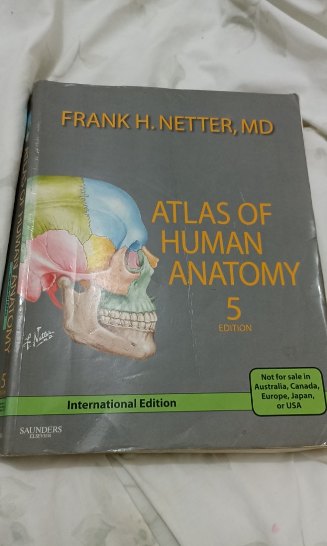 Netter's Atlas of Human Anatomy 5th Edition International, Hobbies ...
