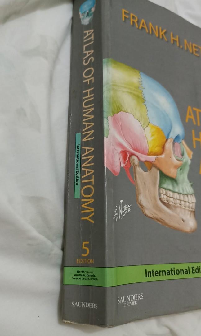 Netter's Atlas of Human Anatomy 5th Edition International, Hobbies ...