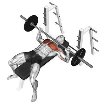 USED FLAT BENCH PRESS GYM EQUIPMENT Sports Equipment Other