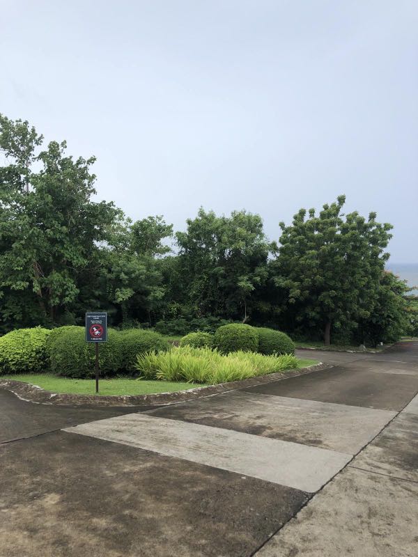 (Category: ) located in . Submitted by rosalitar.legarda (Listing ID 1175320682, Image 1). Description: .