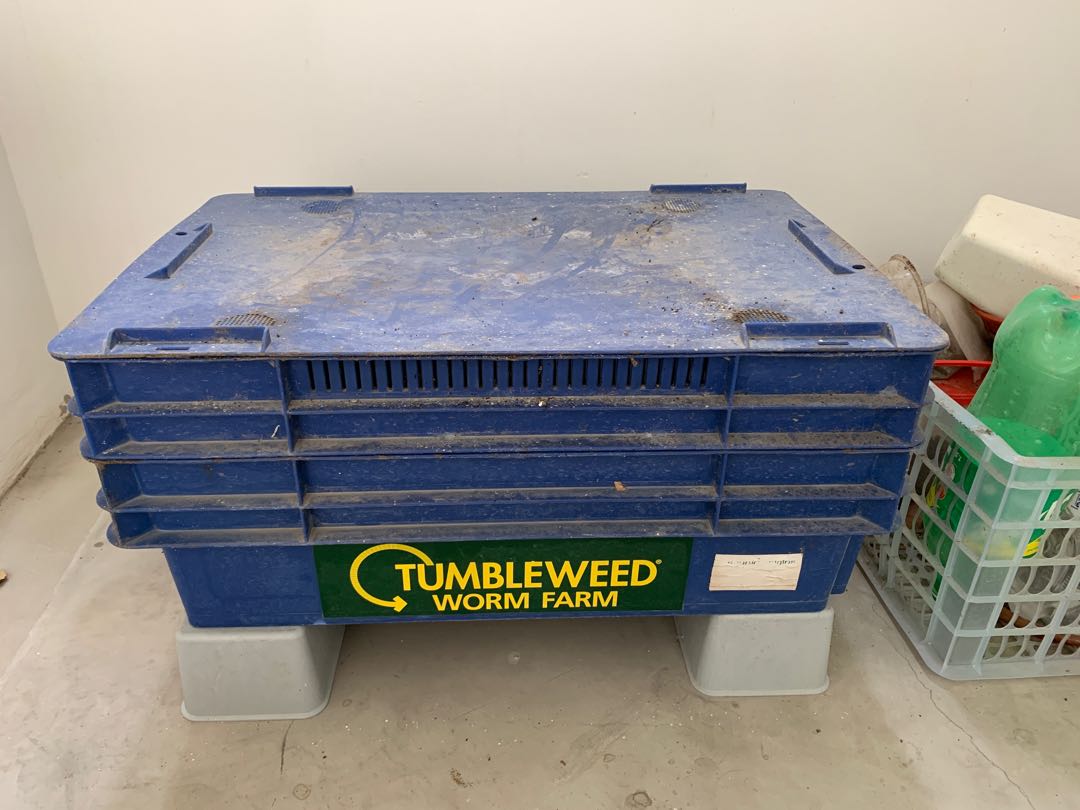 box with worms, Pet Supplies, Homes & Other Pet