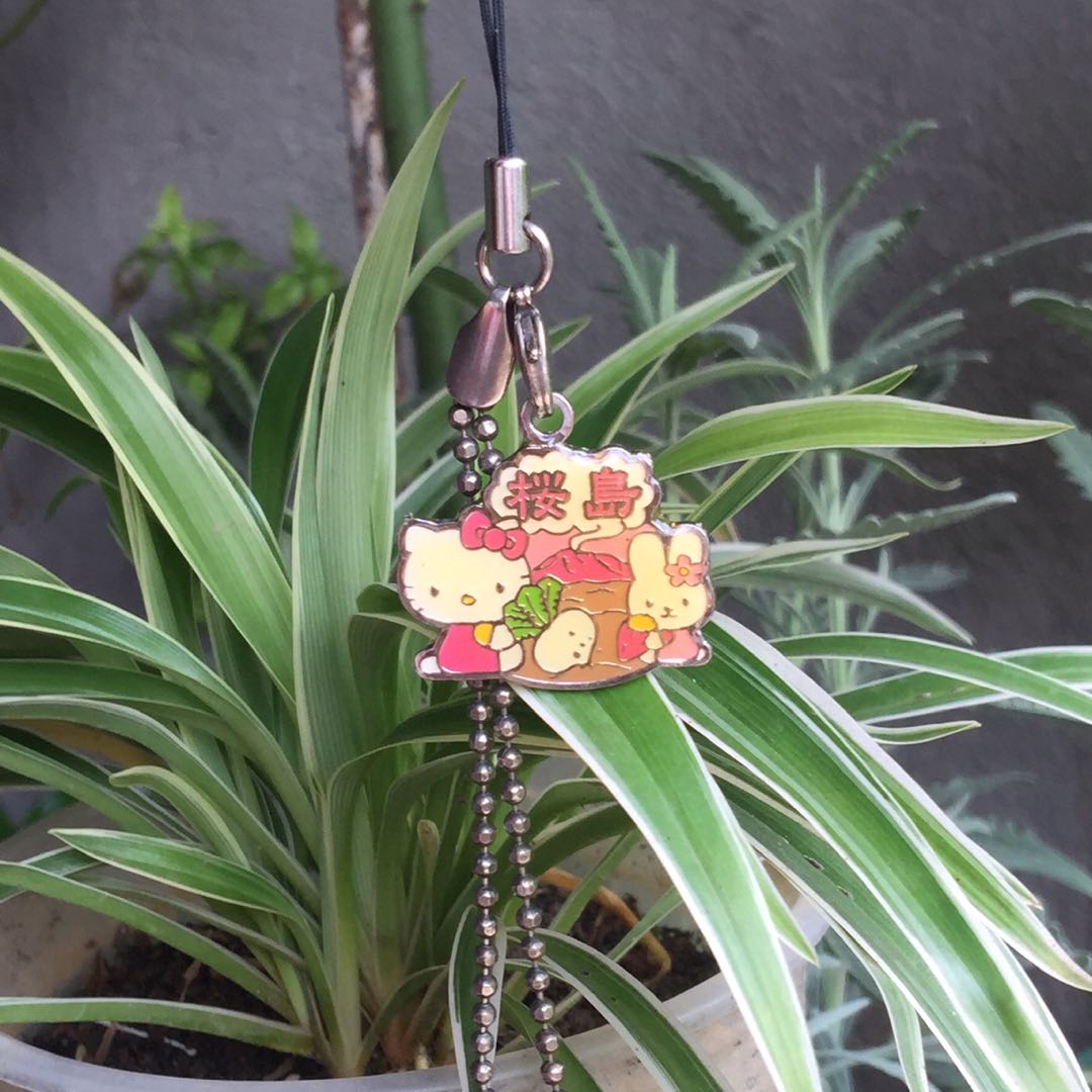 2001 Sanrio Hello Kitty Metal Keychain, Hobbies & Toys, Memorabilia