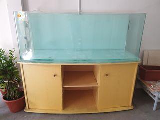 5 feet curved tank with cabinet