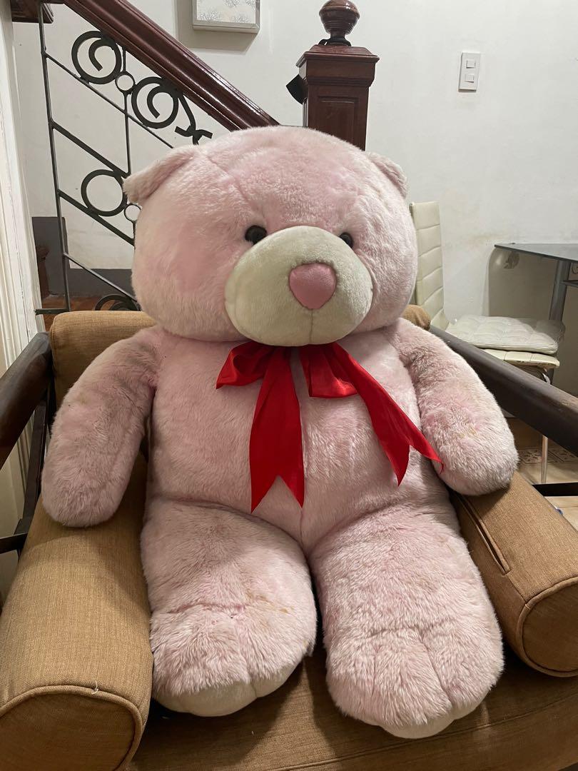 Bear Cuddler Life Size Teddy Bear, Hobbies & Toys, Toys & Games on