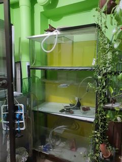 (Category: ) located in . Submitted by thambu (Listing ID 1170396429, Image 1). Description: .