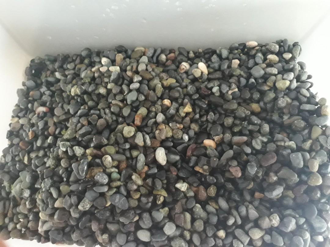 Fish tank pebbles, Pet Supplies, Homes & Other Pet Accessories on Carousell