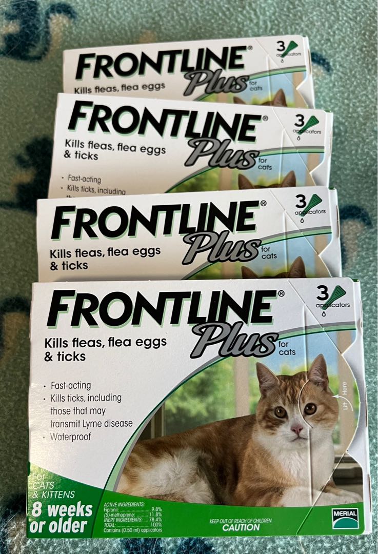 Frontline Plus for Cats & Kittens 8 weeks or older (4 packs), 寵物用品, 寵物衣