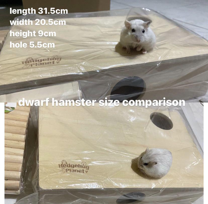 Hamster Cage Accessories Wood Niteangel Hedgehog Multi Chamber Hide Out Tunnels Bendy