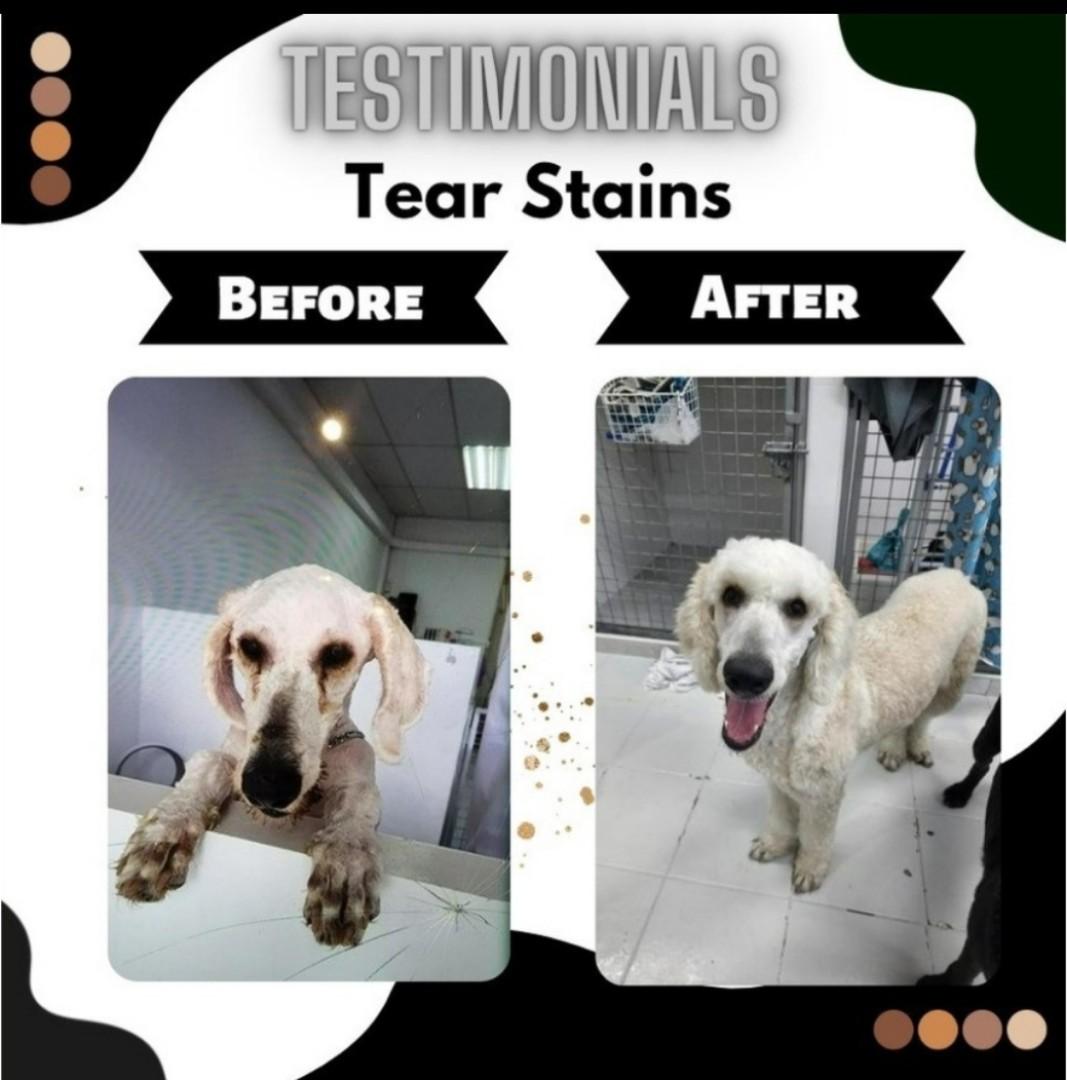 Colloidal silver for dogs tear stains online