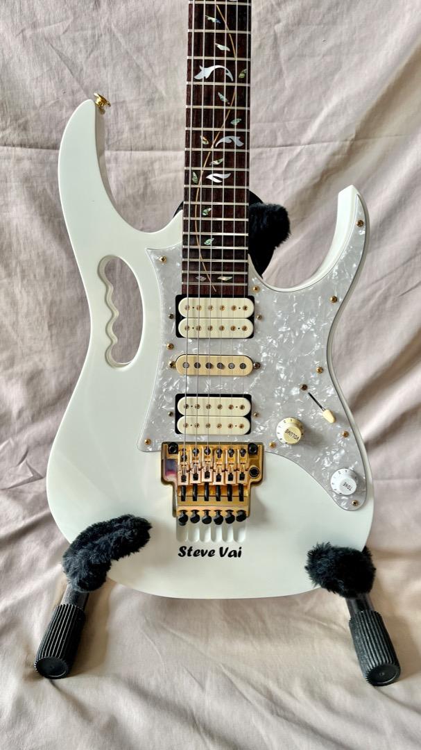 Ibanez jem hard on sale case