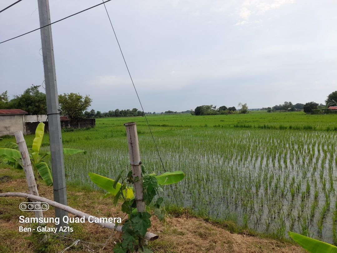 3.6 HECTARES IN CUYAPO NUEVA ECIJA, Property, For Sale, Lot on Carousell