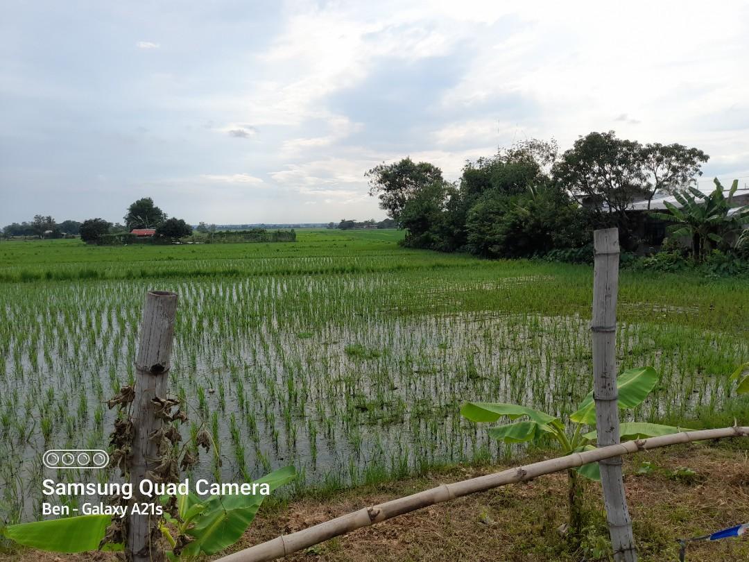 3.6 HECTARES IN CUYAPO NUEVA ECIJA, Property, For Sale, Lot on Carousell