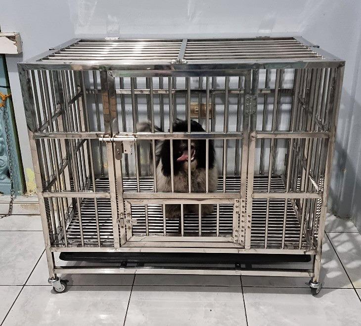 Heavy Duty Dog Cage Stainless Steel with Wheels 3X2X2.5 Ft Pet