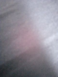(Category: ) located in . Submitted by Aqua_seashells (Listing ID 1175536910, Image 1). Description: .