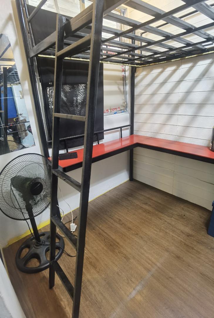 LOFT BED, Everything Else, Others on Carousell