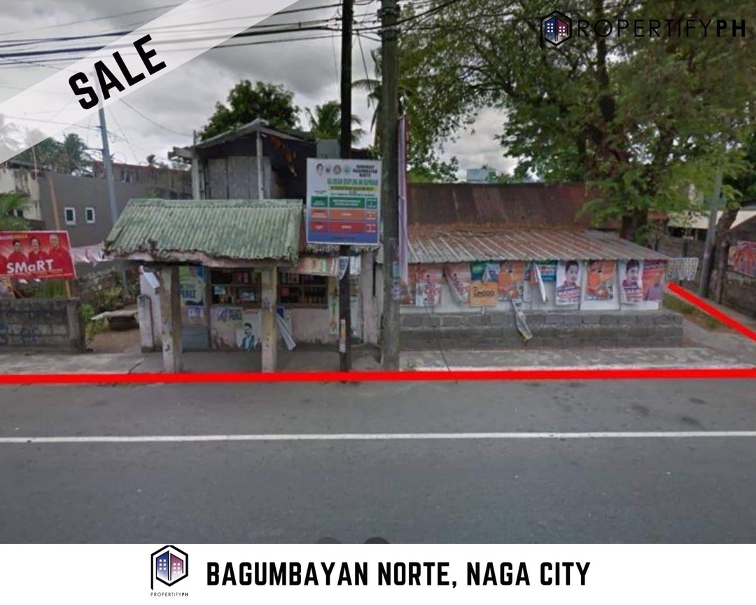 Lot for Sale in Naga City, Camarines Sur, Bicol, Property, For Sale