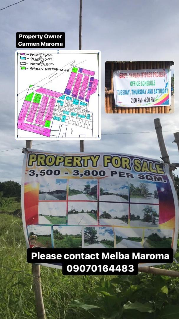 Newly Opened Bypass Road 33k sqm Subdivided Lot Project, Brgy. Ayaman