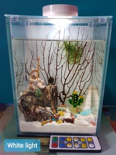 (Category: ) located in . Submitted by opaeopae (Listing ID 1175619280, Image 1). Description: .