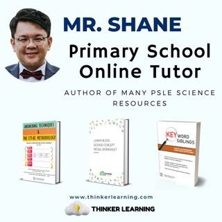 (Category: ) located in . Submitted by thinkerlearning.com (Listing ID 1088921383, Image 1). Description: .
