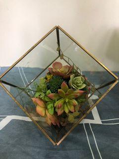 Terrarium glass display with artificial succulents