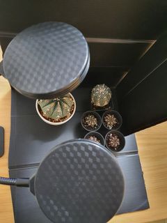 (Category: ) located in . Submitted by wffarm8888 (Listing ID 1175702764, Image 1). Description: .