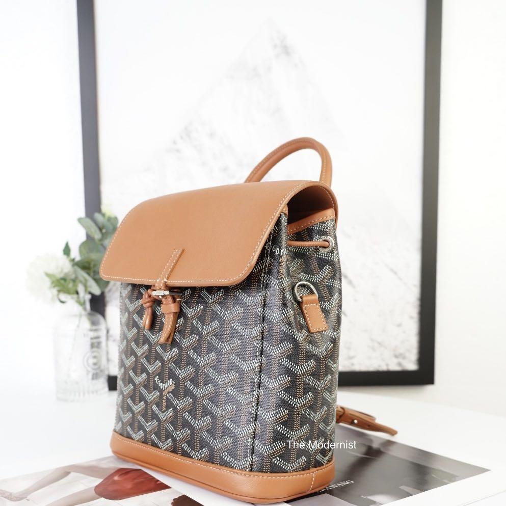 Goyard Alpin Mini Backpack grey, Luxury, Bags & Wallets on Carousell