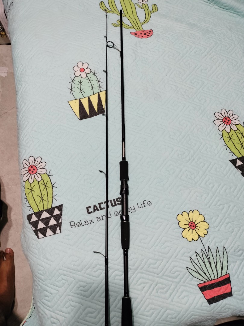 Azuma fishing rod AZ 602MS, Sports Equipment, Fishing on Carousell